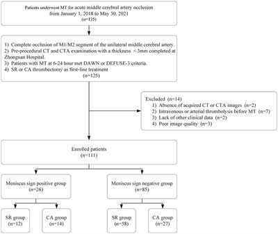 Clot Meniscus Sign Is Associated With Thrombus Permeability and Choice of Mechanical Thrombectomy Technique in Acute Middle Cerebral Artery Occlusion